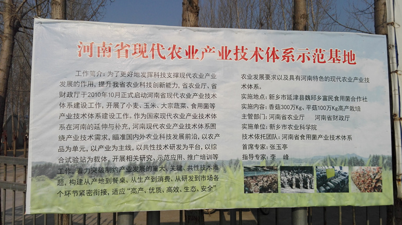 河南省食用菌产业技术体系